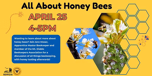 All About Honey Bees