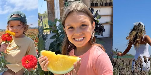 Oceanside's Watermelon & Lavender Festival