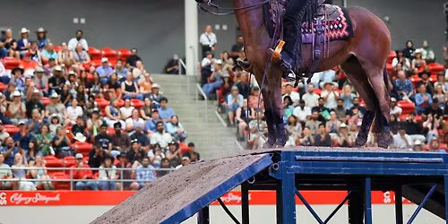 Clinic with Mule Melissa 