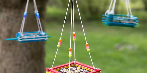 Creation Club: Make a Bird Feeder!