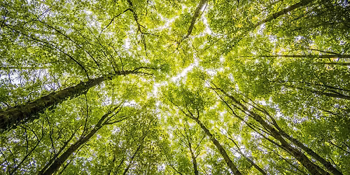 Longing for God: Individually Guided Retreat