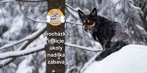 Cesta za mikulášskou nadílkou 2025