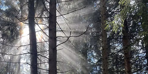 Deep connected Breath - eine Reise zu dir