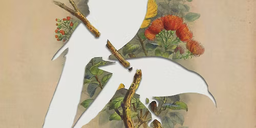 Next Series Presents: Extinctions