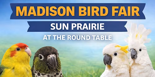 Madison Bird Fair