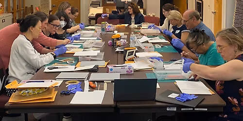 Understanding Risk to Protect Collections