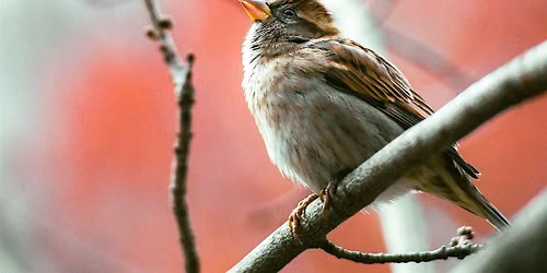Fort Tryon Park Photowalk