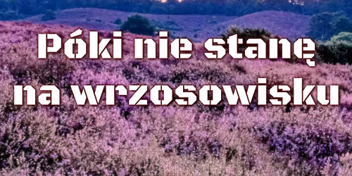 LARP - P\u00f3ki nie stan\u0119 na wrzosowisku