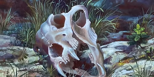 Artist's Talk: Fauna and Form