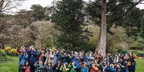 Birding for Beginners