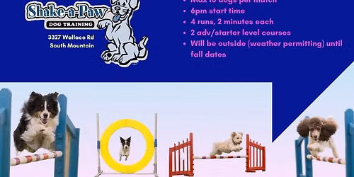 Agility Fun Match
