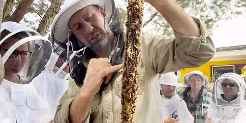 Natural Beekeeping Course Castlemaine Vic
