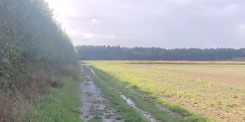 Canicross Taster Session