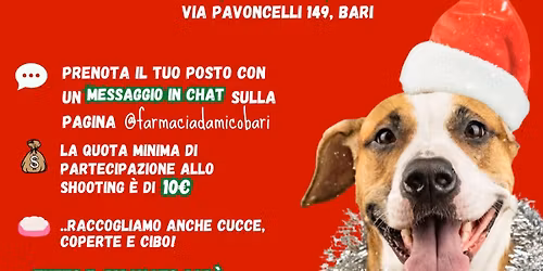 Shooting Fotografico Natalizio con il tuo Cagnolino!