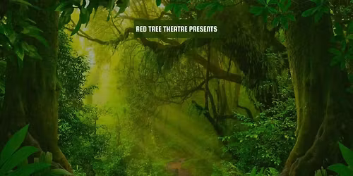 Jungle Book Auditions