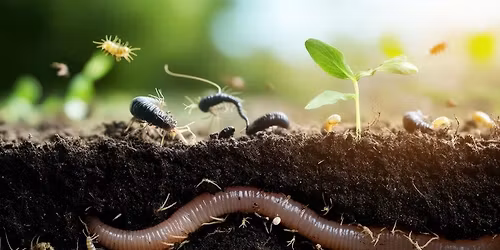 Life Underground for Homeschoolers