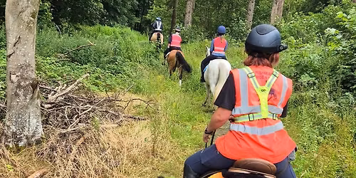 MEMBERS ONLY Steady Neddie Social Ride, Syndale Farm 