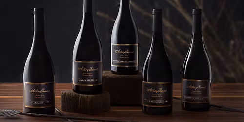 Bounty of the Willamette Featuring Archery Summit