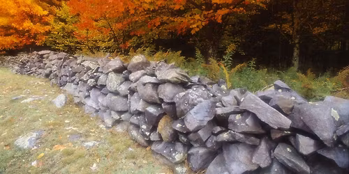 Fall Habitat Detectives