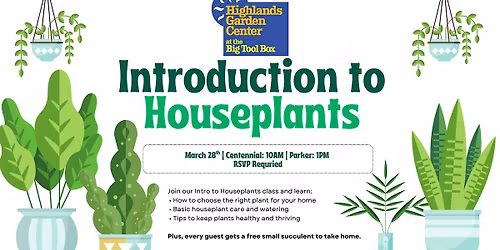 Intro to Houseplants: Learn the Basics + Take Home a Free Succulent