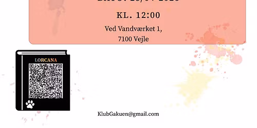 DISNEY LORCANA CASUEL TURNERING