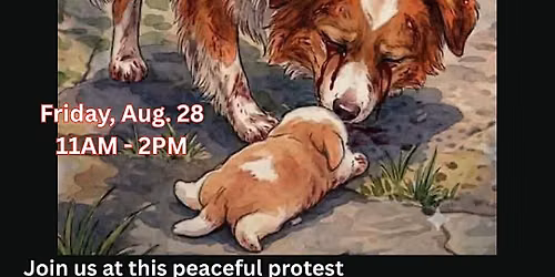 Worldwide Day of Action for Wang Wang