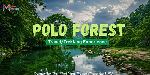 Polo Forest Escape