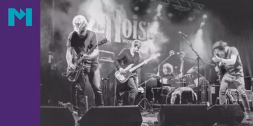 LeNoise - A Tribute to Neil Young in Almelo
