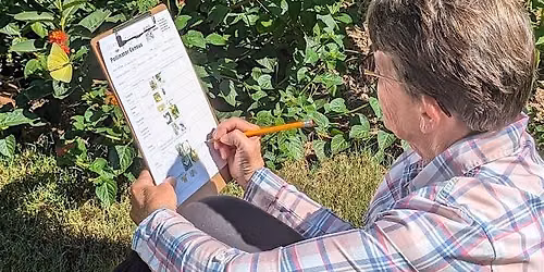 Great Southeastern Pollinator Census 2026
