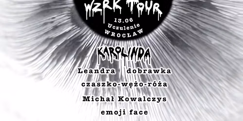  WZRK TOUR WROC\u0141AW | 13.06 | Uczulenie