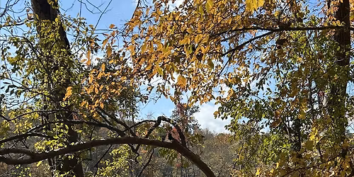 Eco-Connection: Reflection