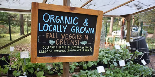Fall Organic Vegetable Gardening