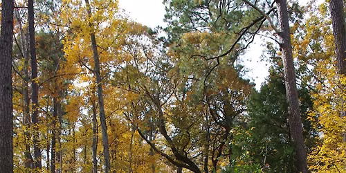 Autumn Hayride - 2:00 Session