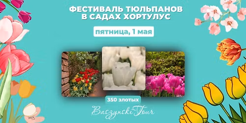 \u0424\u0435\u0441\u0442\u0438\u0432\u0430\u043b\u044c \u0442\u044e\u043b\u044c\u043f\u0430\u043d\u043e\u0432 \u0432 \u0421\u0430\u0434\u0430\u0445 \u0425\u043e\u0440\u0442\u0443\u043b\u0443\u0441