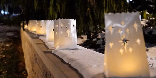 Under the Silver Moon