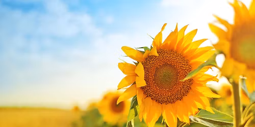 Seminar "Bewusst leben - wie ich auf mich selbst achten kann"