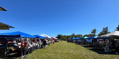 Night Market & Music at Hickory Hill Park