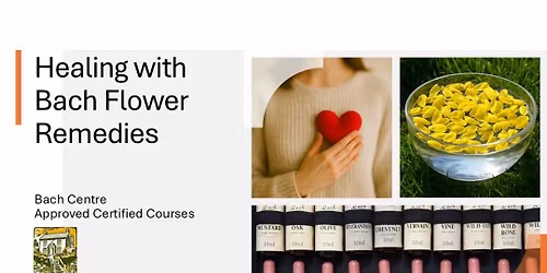 Healing with Bach Flower Remedies (UK Bach Centre-Approved Bach Level 1 course)
