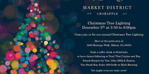 Christmas Tree LIghting