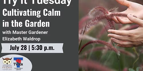 Try It Tuesday: Cultivating Calm