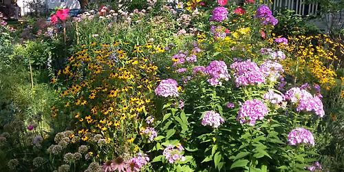 In-Person Native Plant Sale