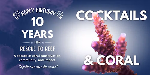 Cocktails & Coral: 10 Years of Rescue to Reef