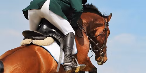 Eldwick & Bingley RC & Craven Arena Show Jumping Event 