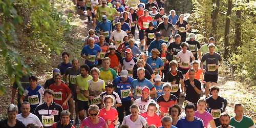 48. Harz-Gebirgslauf