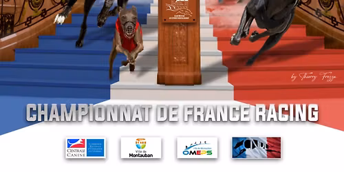Championnat de France de racing