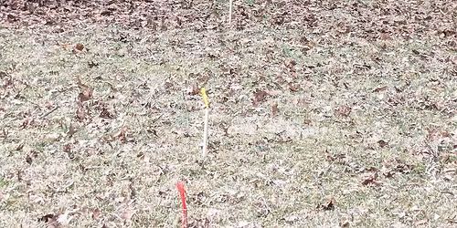 IBO 30 Rhinehart target shoot Day 2