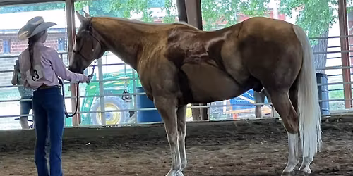 Black Hawk Creek Saddle Club Horse Show