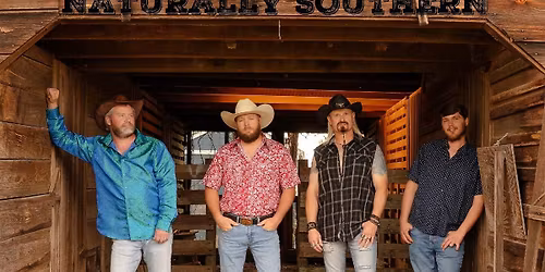 Music in the Art Park