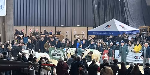 Prijskamp Sint-Truiden 2026