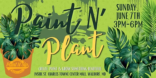 Paint N Plant